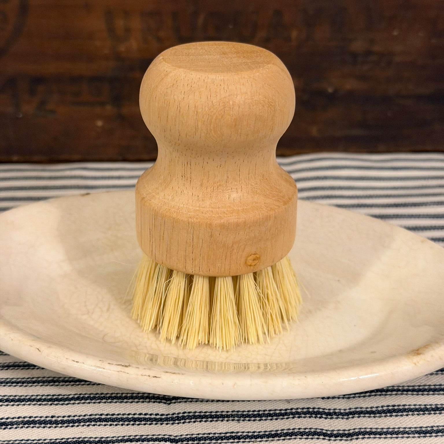 Dish Scrub Brush